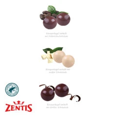 Tisch-Adventskalender Zentis Business 10 Tisch-Adventskalender Zentis Business -KleineGeschen Geschaft 95212 Tisch Adventskalender Zentis Business Fuellung W 68475