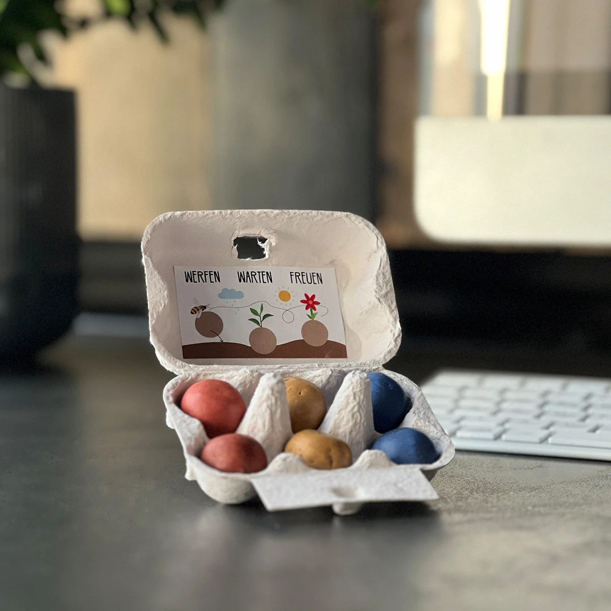 Zusammen Wachsen - Saatbomben Sixpack 4 Zusammen Wachsen - Saatbomben Sixpack – Bild 4