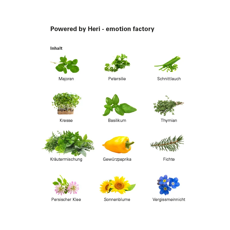 Adventskalender Eco XL Samentütchen & Substrattabletten 3 Adventskalender Eco XL Samentütchen & Substrattabletten – Bild 3