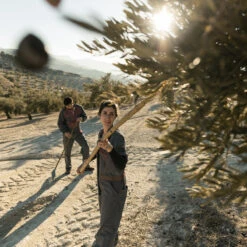 Lass Uns Zusammen Wachsen - Olivenöl 11 Lass Uns Zusammen Wachsen - Olivenöl -KleineGeschen Geschaft hinterland olivenoel Olivenernte 93441
